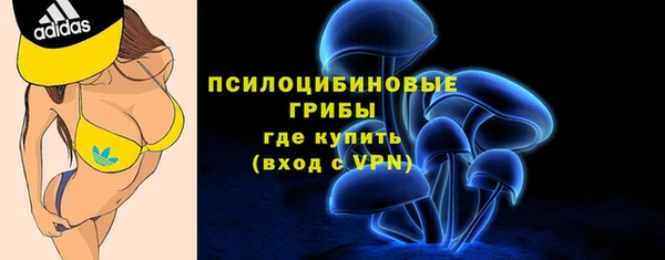 тгк Алзамай