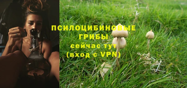 стафф Алексеевка