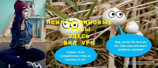 стафф Алексеевка